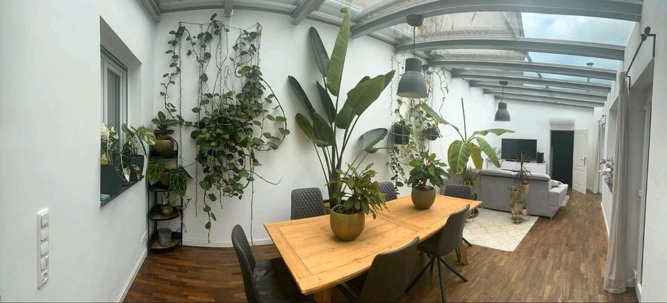 Reihenhaus Alsdorf - 7 Zimmer, 260 m&sup2;, 570.000&euro; | Angebot:26063326