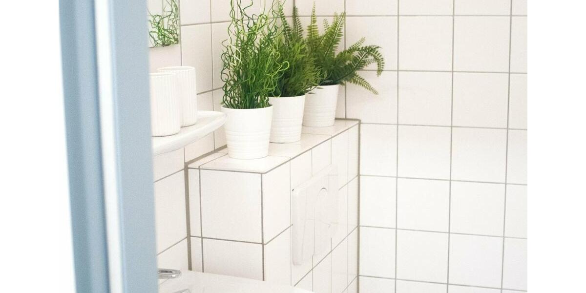 Etagenwohnung Aachen Aachen-Mitte - 1 Zimmer, 30 m&sup2;, 1.000&euro; | Angebot:17774852