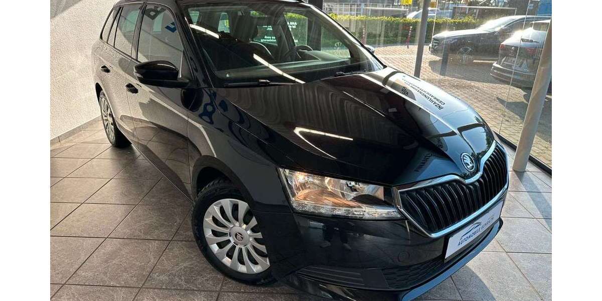 Skoda Fabia 123.908 km 9.989 &euro; Erkelenz 41812