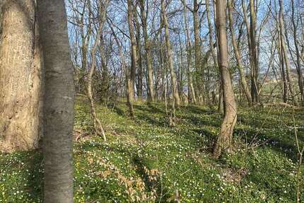 Grundstück Eschweiler Bergrath - 140.000&euro; | Angebot:25640275